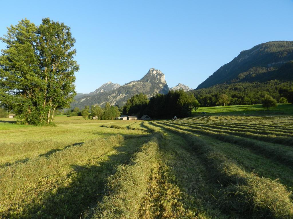 Gasthof Wiesenhof شتروبل المظهر الخارجي الصورة