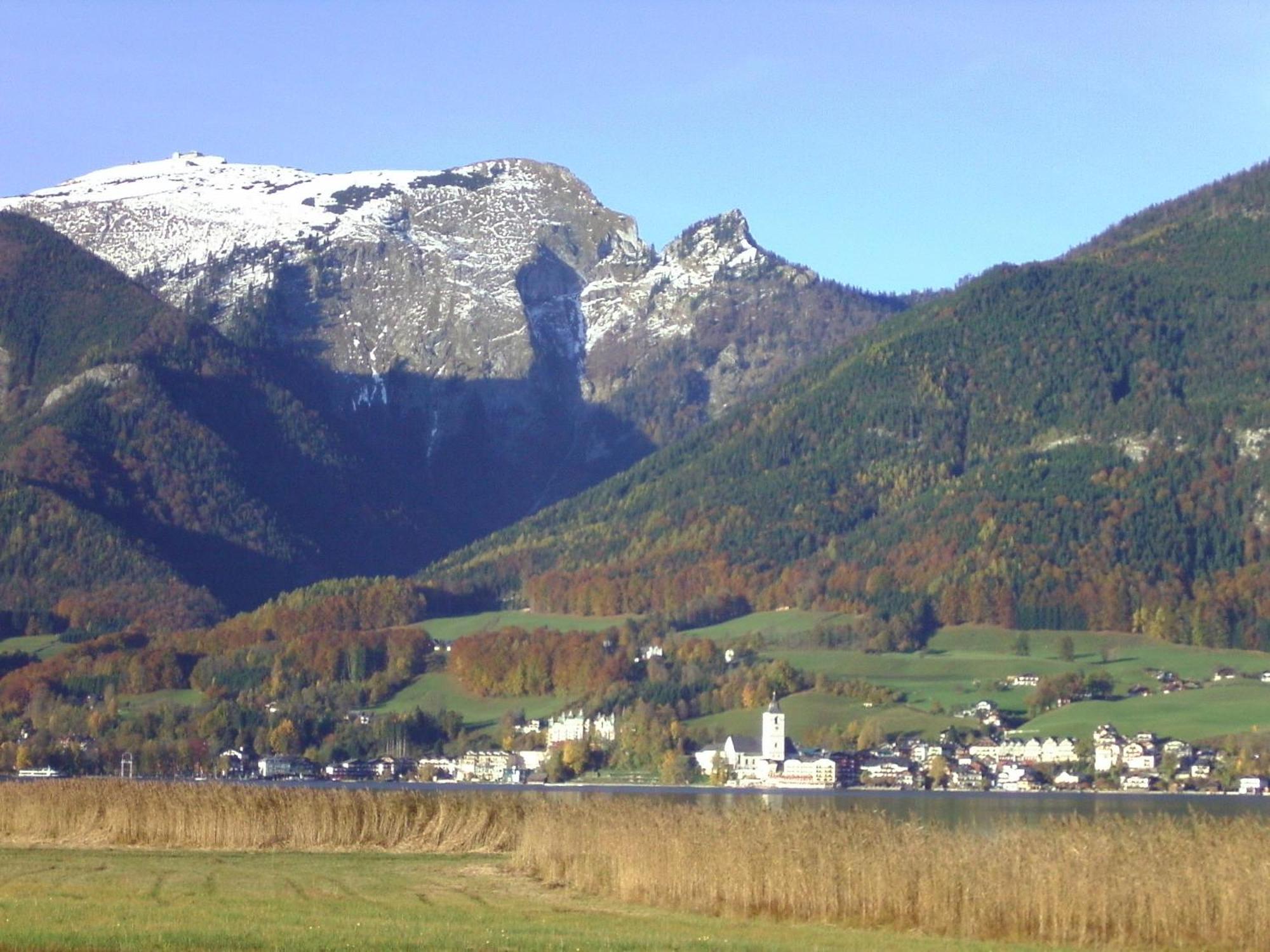 Gasthof Wiesenhof شتروبل المظهر الخارجي الصورة